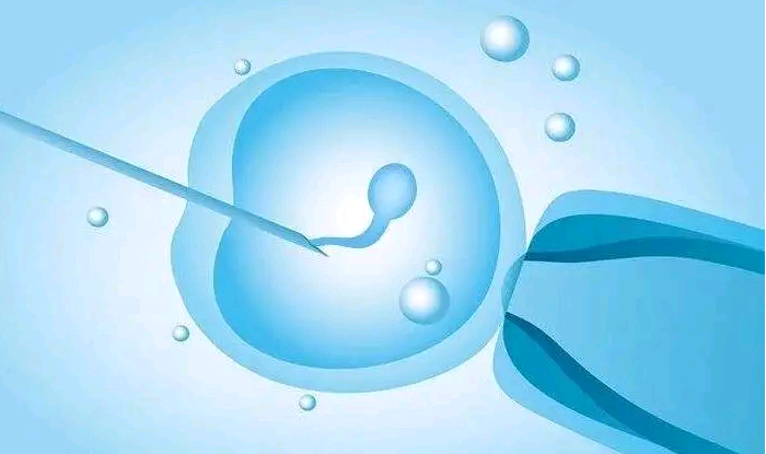 习惯性流产概念_少精,试管婴儿导致卵巢