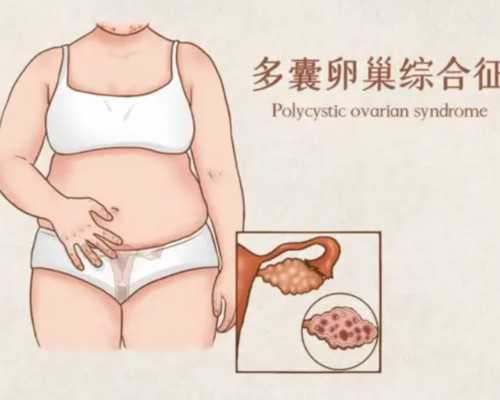快来看|上海试管助孕中介_上海助孕机构