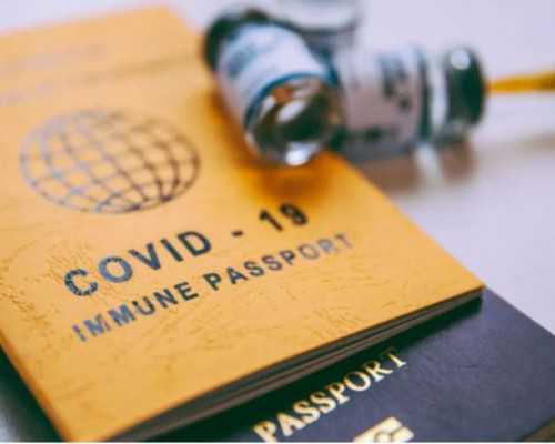 
              上海瑞金医院做供卵试管婴儿等多久？各项费用贵吗？
