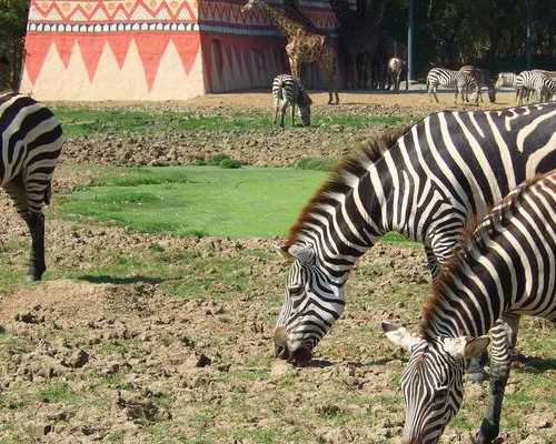 捐卵做试管了_三代试管条件,广州试管费用如何内附试管机构排名一览