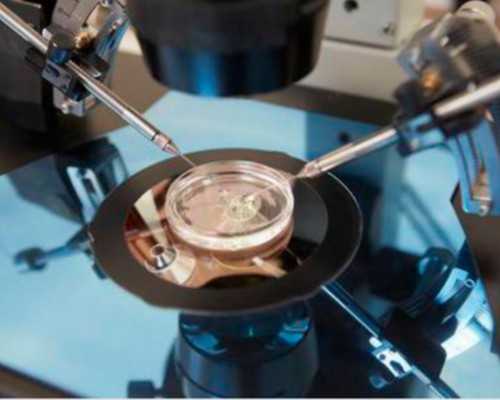 胎停两次都是胚胎染色体异常 还能自怀吗？