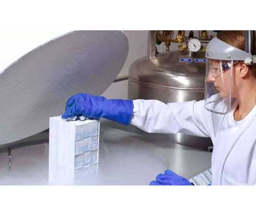 <strong>供卵中心有哪些_如何接受供卵,亳州有没有试管机构能供卵</strong>