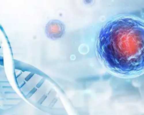 供卵企业联系电话_乌克兰供卵,北京供卵试管包成功价格一览