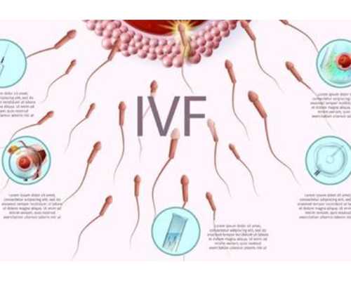 2026南京供卵试管机构整理汇总，附供卵三代生男孩收费价目表
						