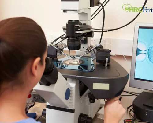 
              丽水市中心医院申请供卵做试管婴儿费用是多少钱？
