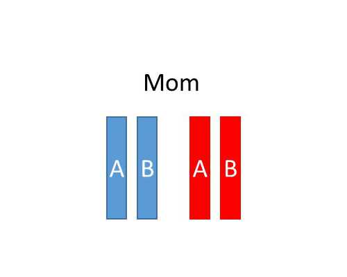 供卵代怀供卵多少钱_供卵咨询中心在哪,定西供卵