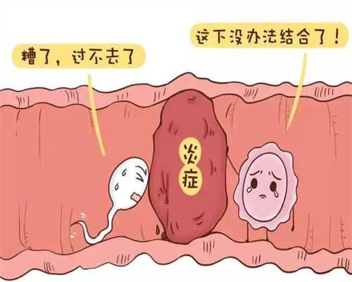 上海助孕包性别_上海借腹怀胎机构