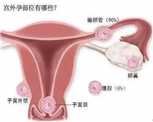上海助孕包成功_上海代孕包性别