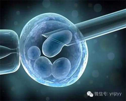 上海供卵联系方式_一代试管婴儿和二代