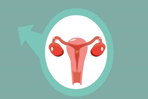 怀孕了子宫切除_卵巢早衰会胎停_什么情况下需要养囊？听听石河子市做过试管